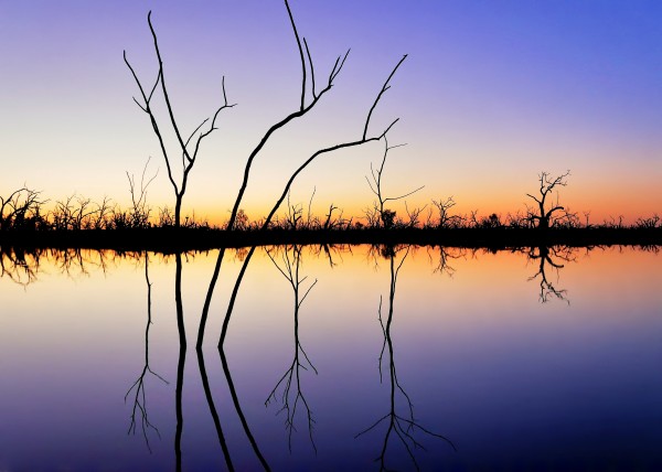 Sunset Reflections by Lexa Harpell